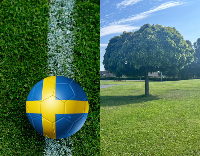Ena halvan är en fotbollsplan med boll som har svenska flaggan-motiv. Andra är ett träd.
